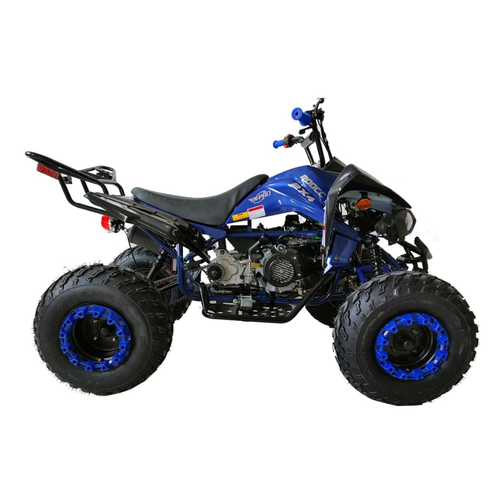 1000-2025-10-12T123127.736.png X-PRO Panther 200 Sports ATV - Image 1